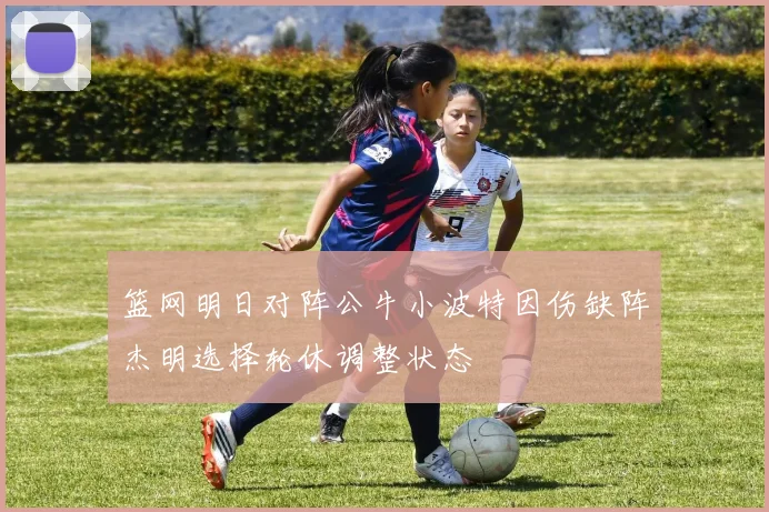 篮网明日对阵公牛小波特因伤缺阵杰明选择轮休调整状态