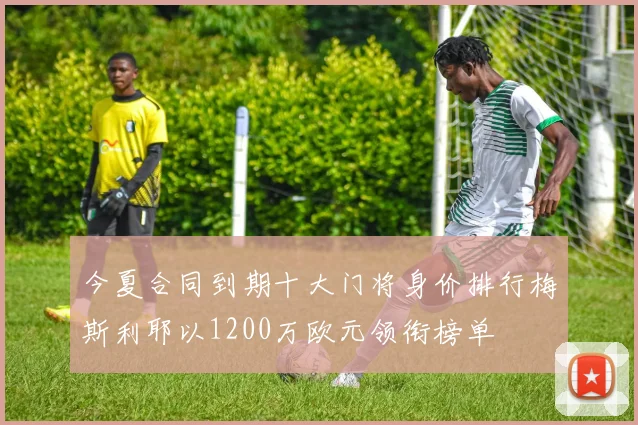 今夏合同到期十大门将身价排行梅斯利耶以1200万欧元领衔榜单